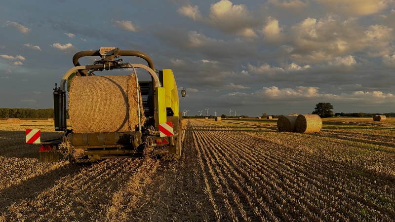Mitarbeiter der SunFarmer GmbH nehmen Solaranlage nach Aufbau in Betrieb.